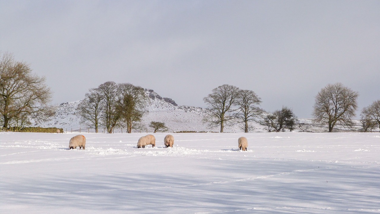 Photo of Others in Kildwick