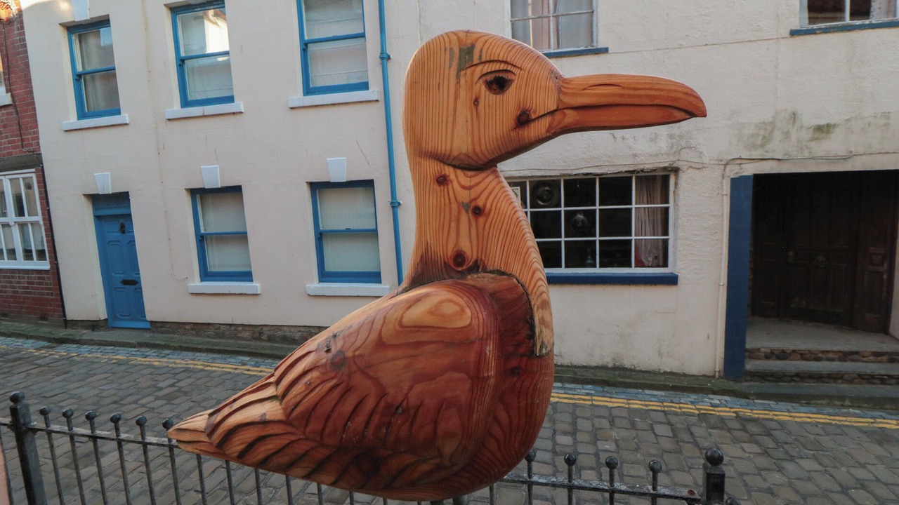 Photo of Outdoor in Staithes