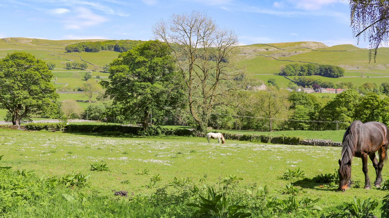 Photo of Others in Rathmell