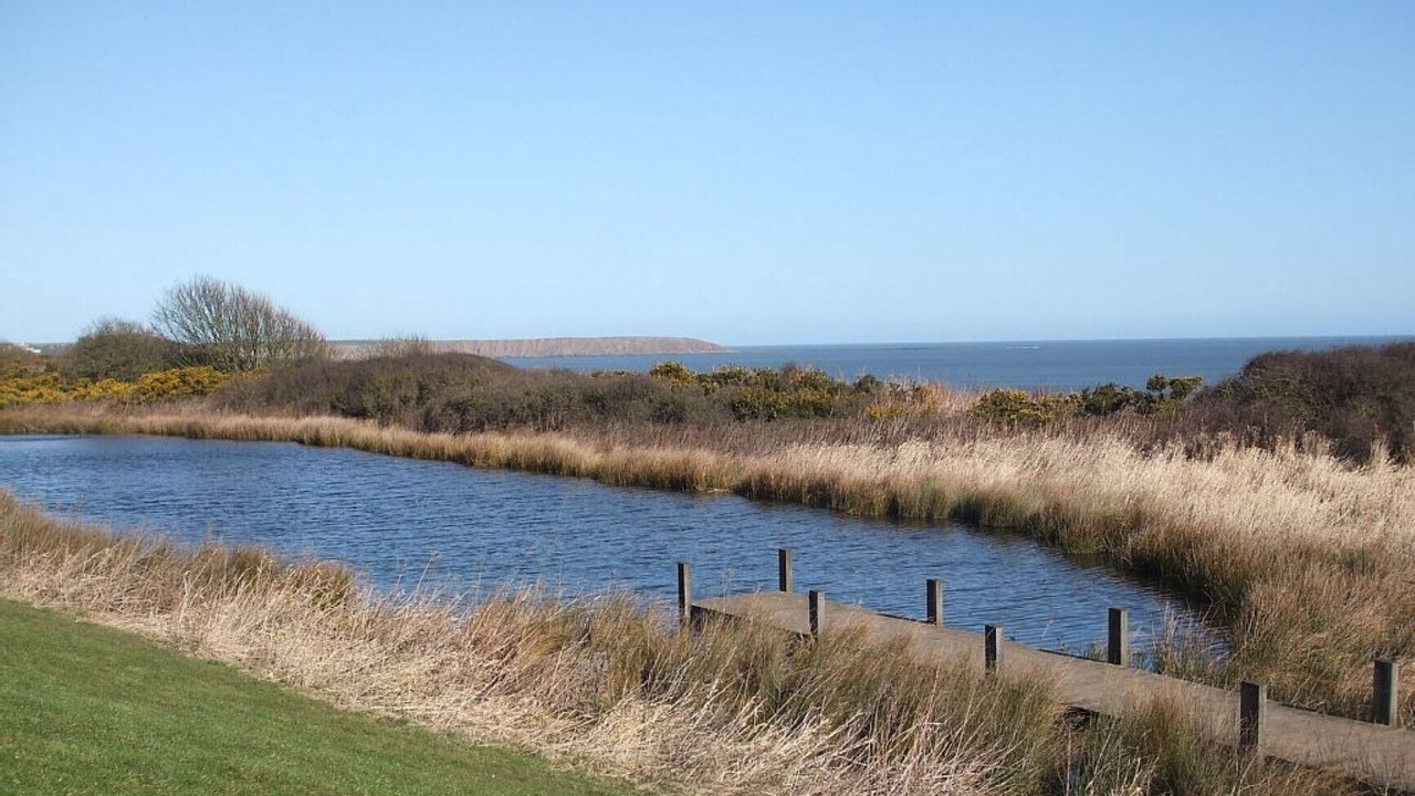 Photo of Others in Filey
