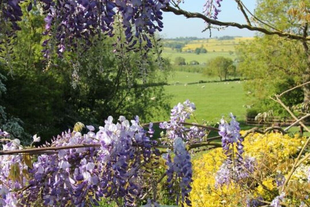 Photo of Outdoor in Manton