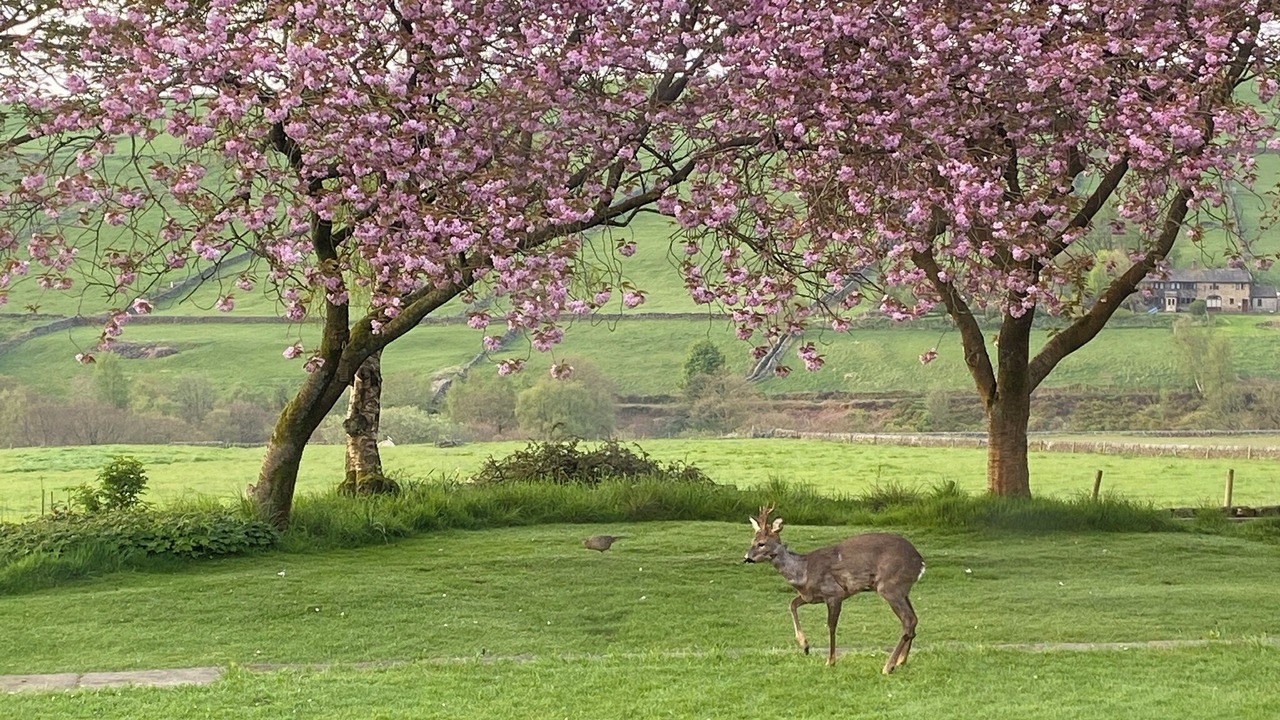 Photo of Outdoor in Hebden Bridge