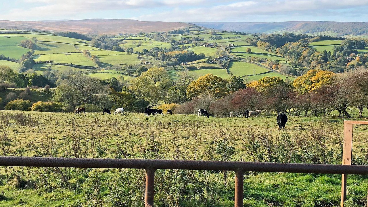 Photo of Others in Lealholm