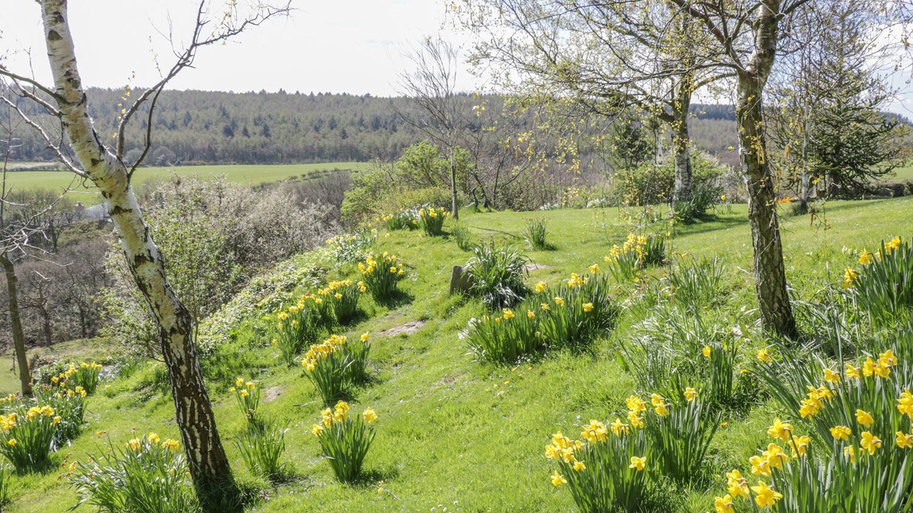 Photo of Outdoor in Scarborough