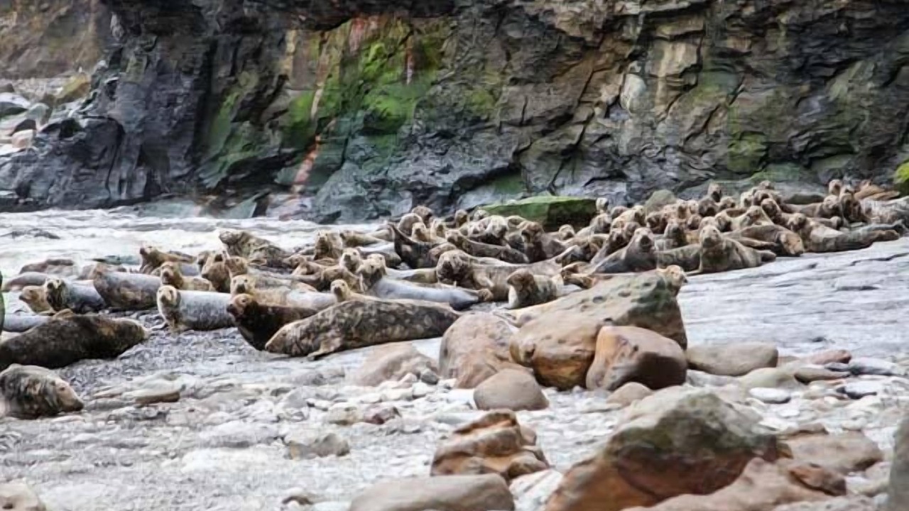 Photo of Outdoor in Scarborough