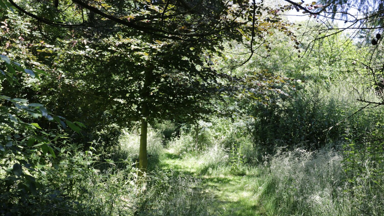 Photo of Outdoor in Little Habton