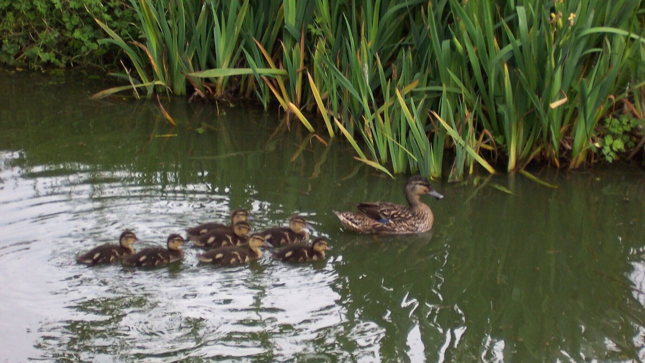 Photo of Others in Horncastle