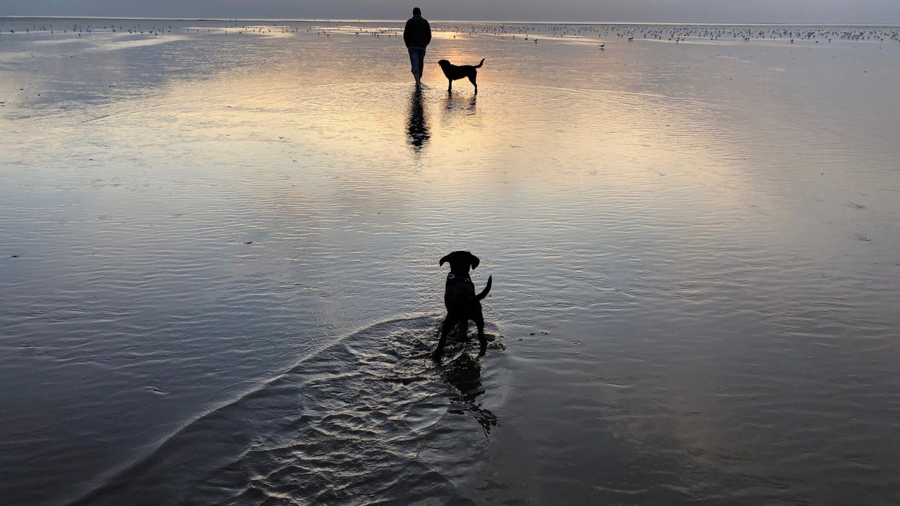 Photo of Others in Heacham
