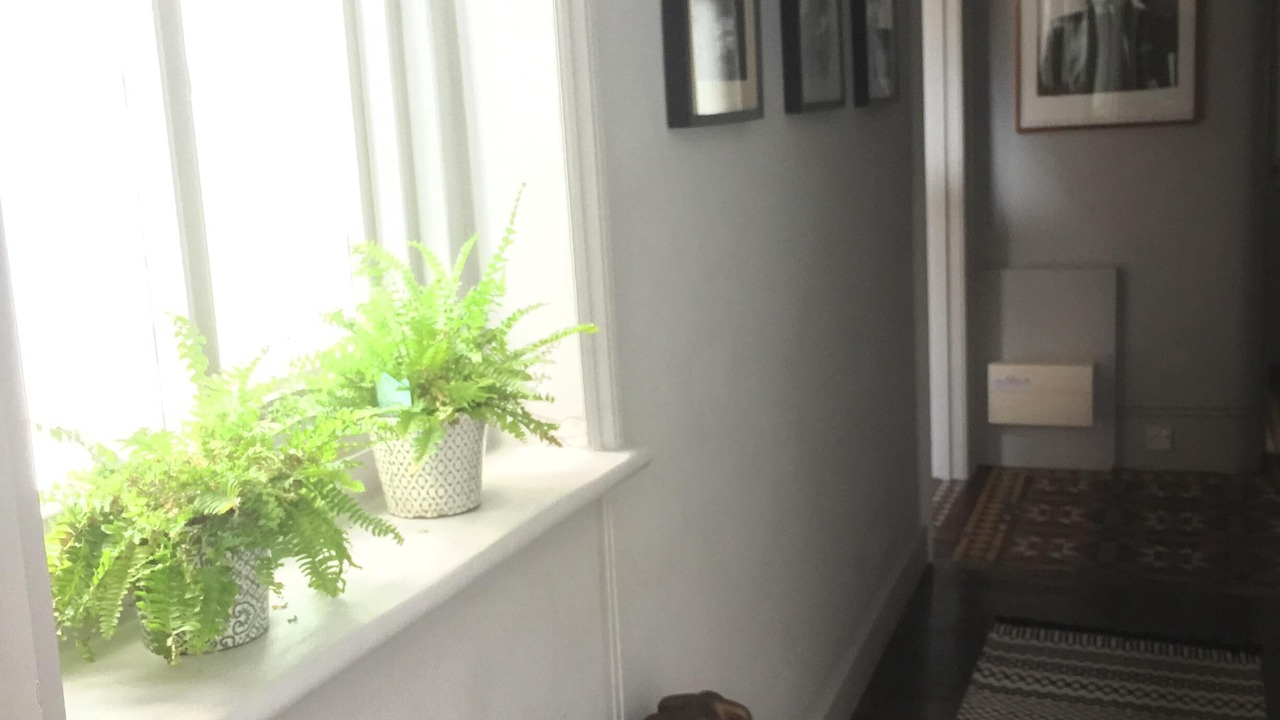 Photo of Others in Little Venice