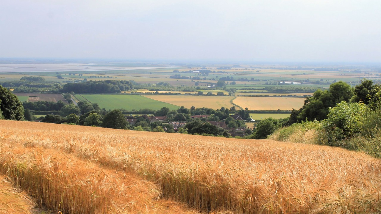 Photo of Others in Brantingham