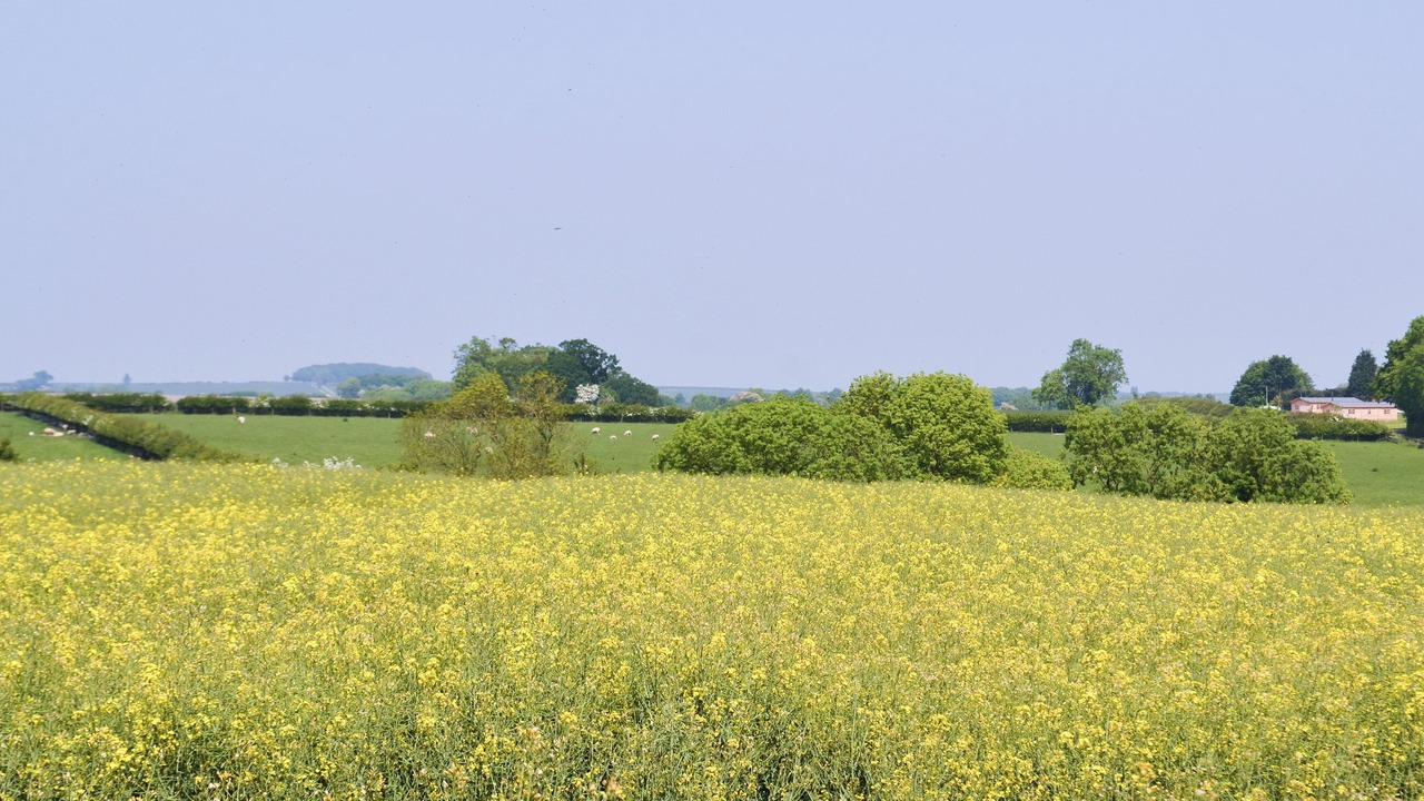 Photo of Others in Kneesall