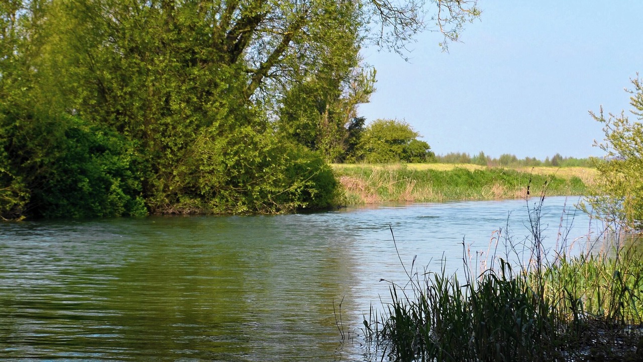 Photo of Others in Tickton
