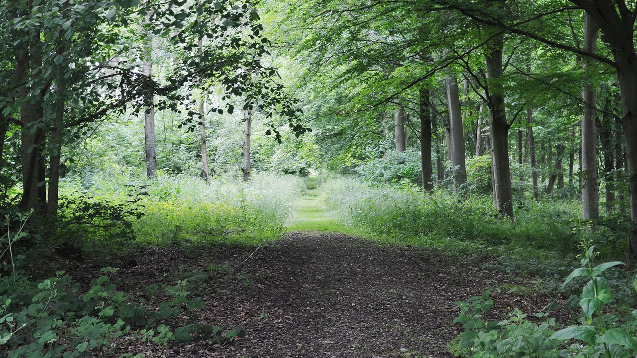 Photo of Others in Kenwick