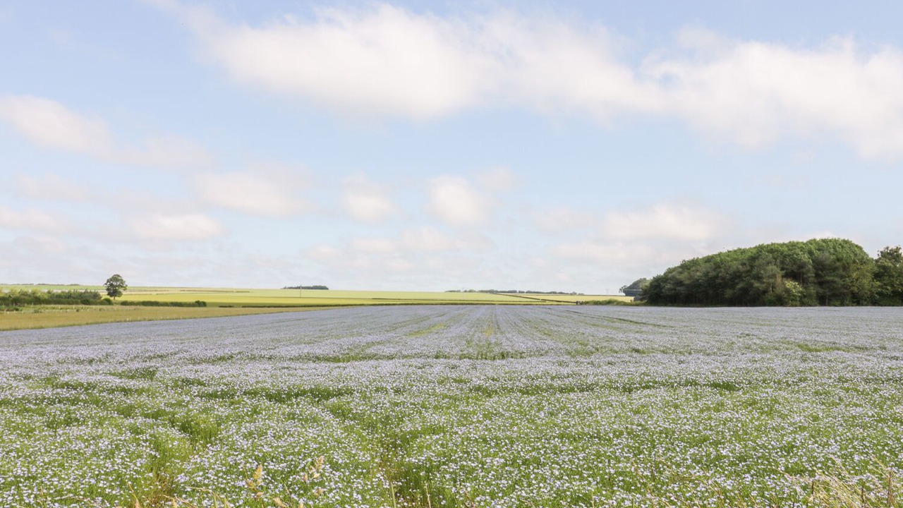 Photo of Others in North Dalton