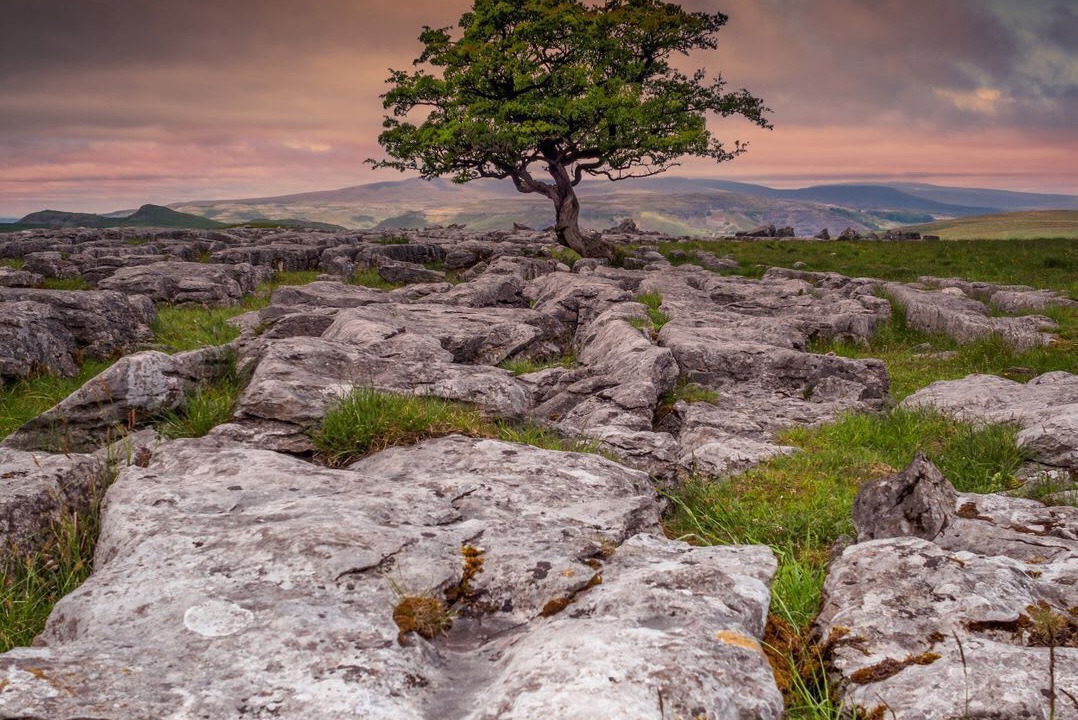 Photo of Others in Langcliffe