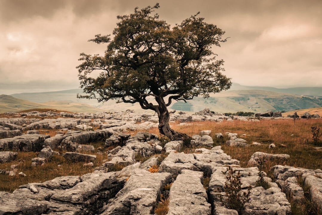 Photo of Others in Langcliffe