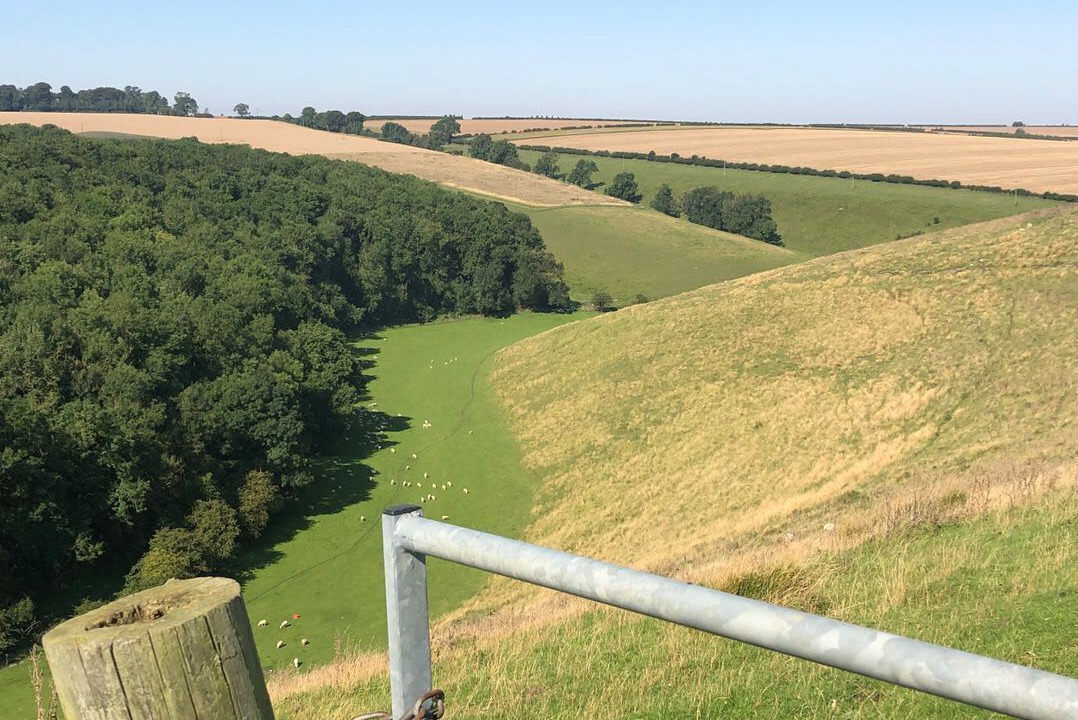Photo of Others in Fridaythorpe