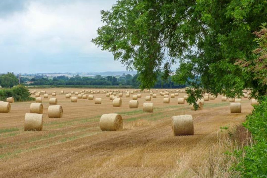 Photo of Others in Appleton-le-Moors