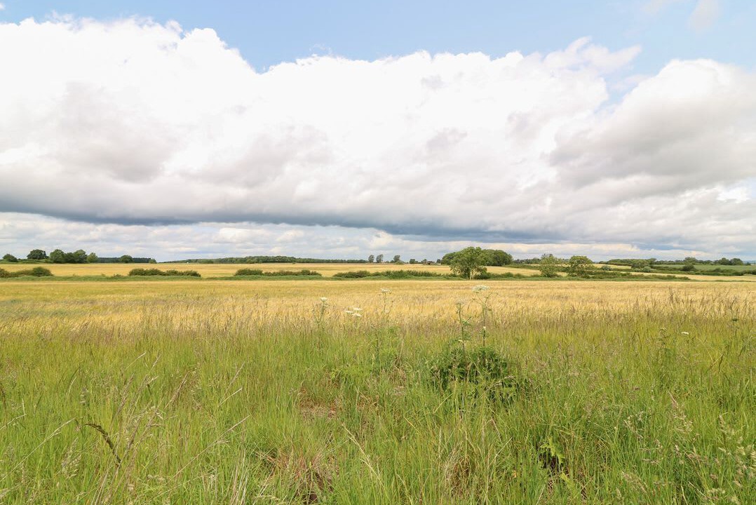 Photo of Others in Metheringham