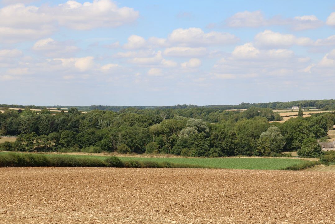 Photo of Others in Barnsdale