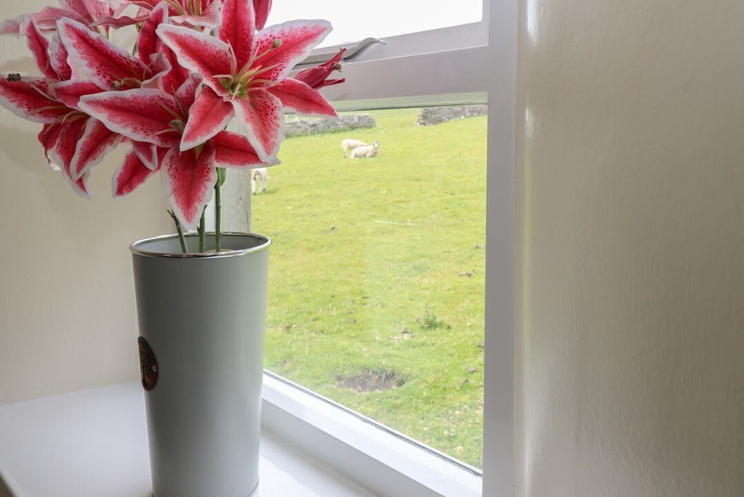 Photo of Others in Fremington