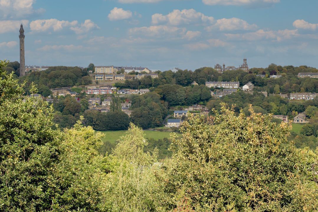 Photo of Others in Ainley Top