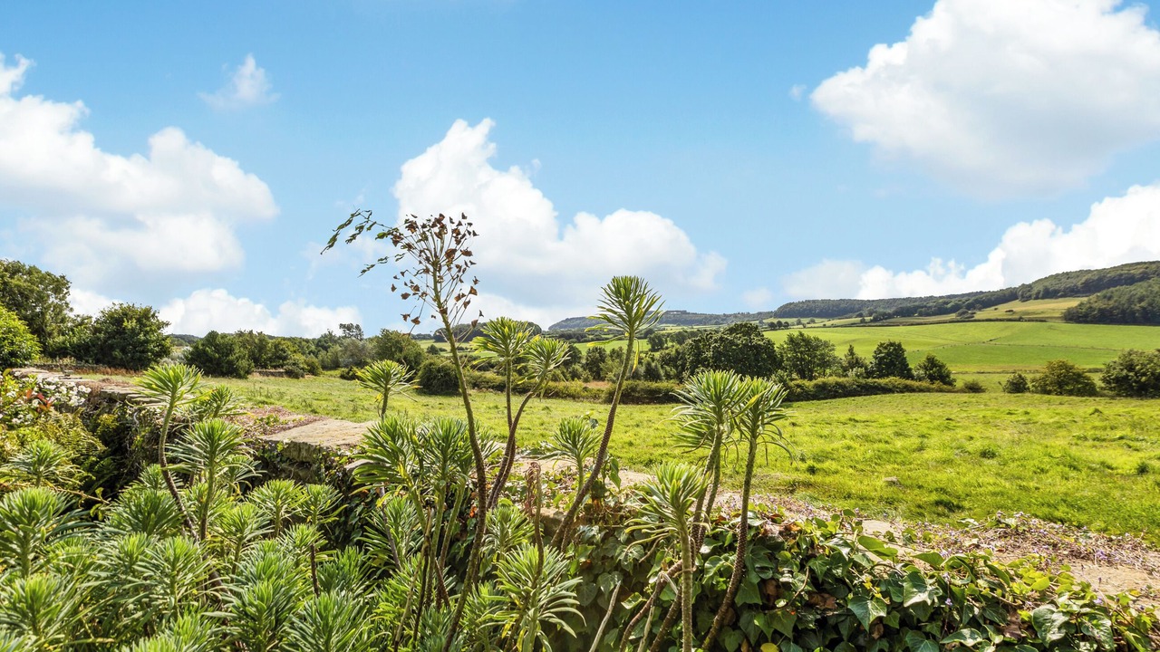 Photo of Outdoor in Scarborough