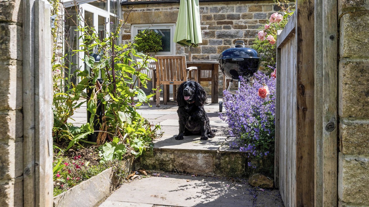 Photo of Outdoor in Scarborough