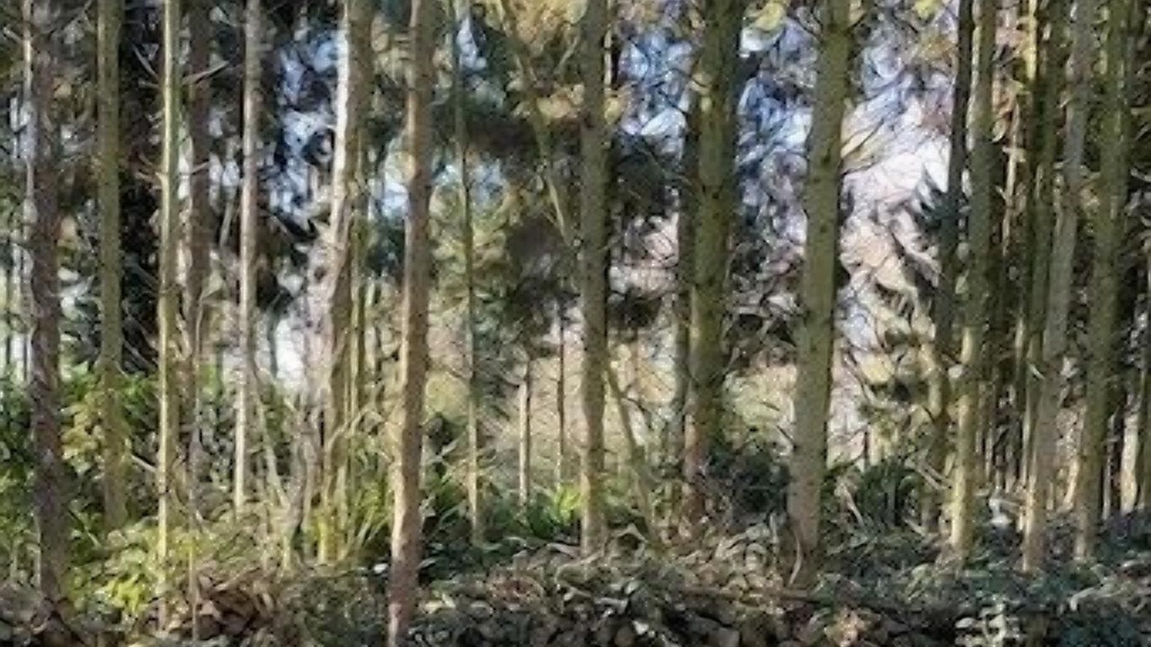 Photo of Outdoor in Alford