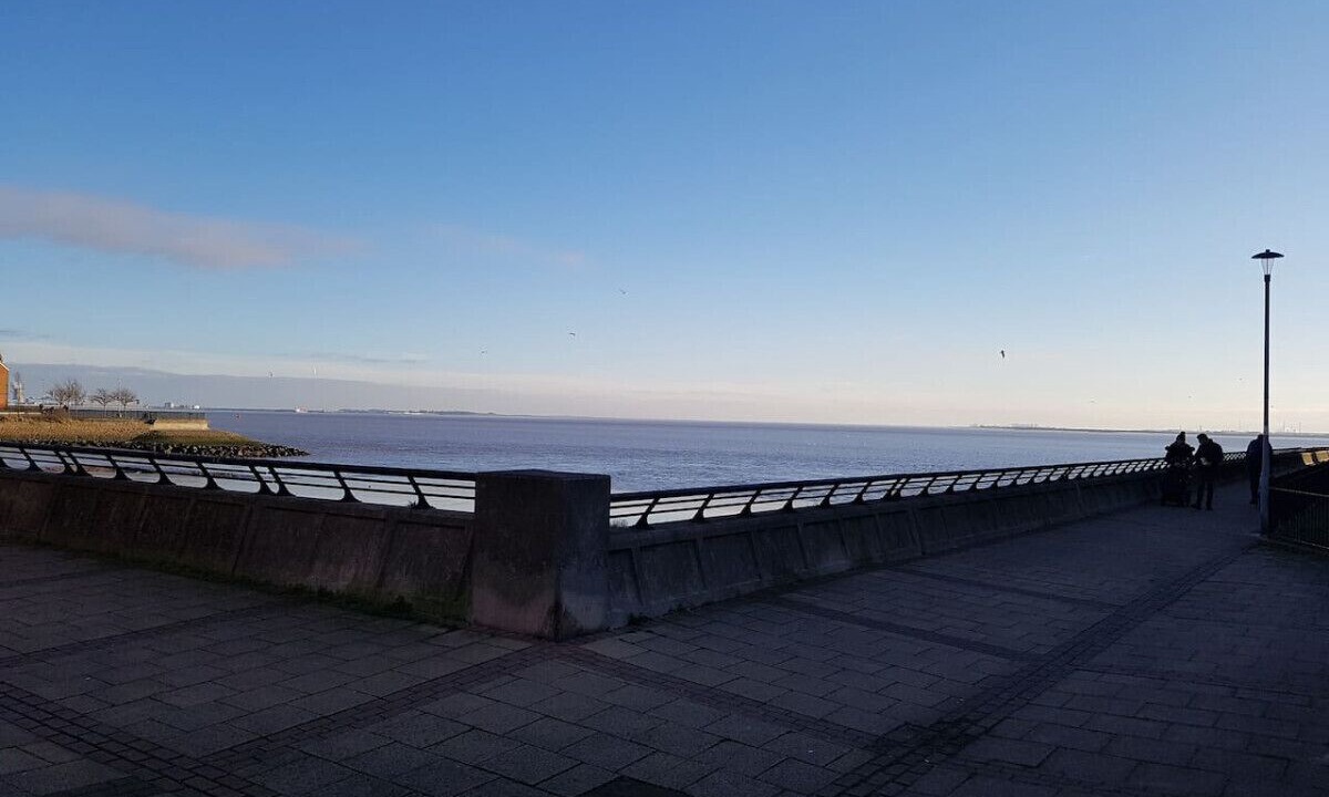 Photo of Others in Hull