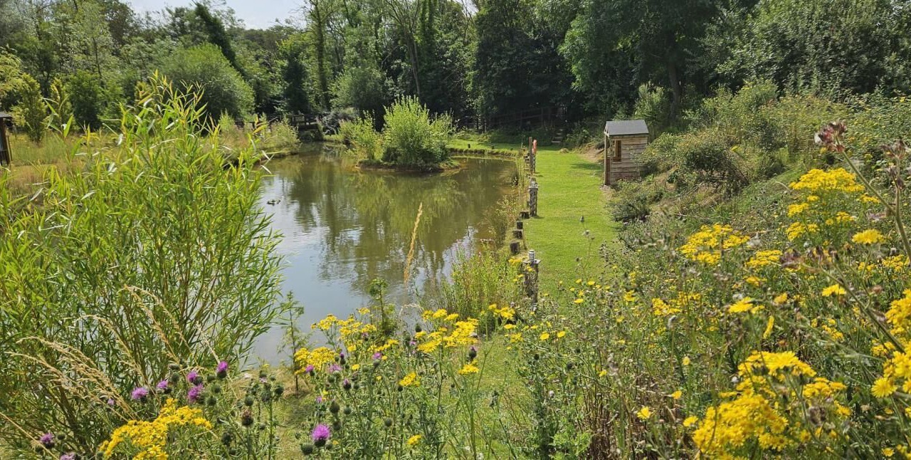 Photo of Outdoor in Newmarket