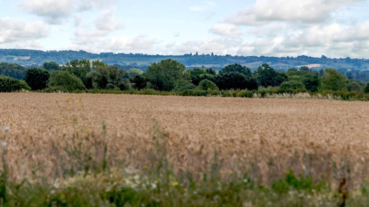 Photo of Others in Bedford