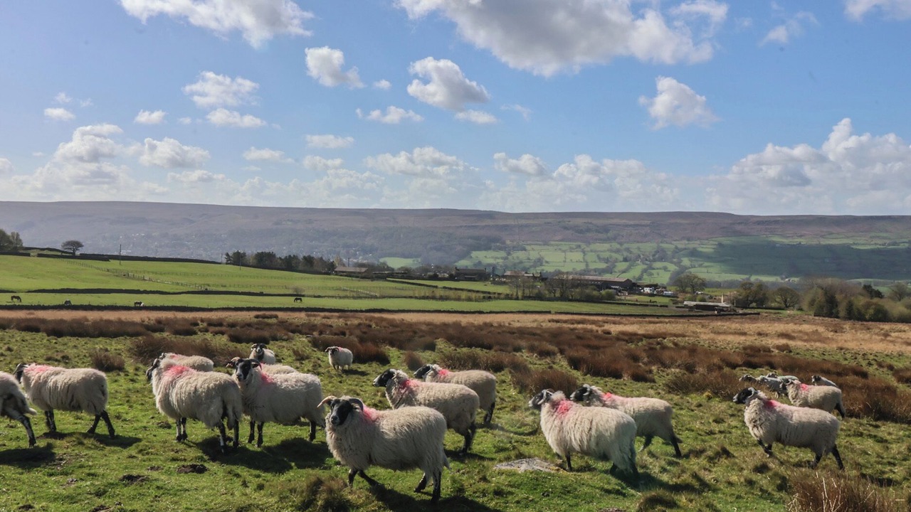 Photo of Others in Ilkley