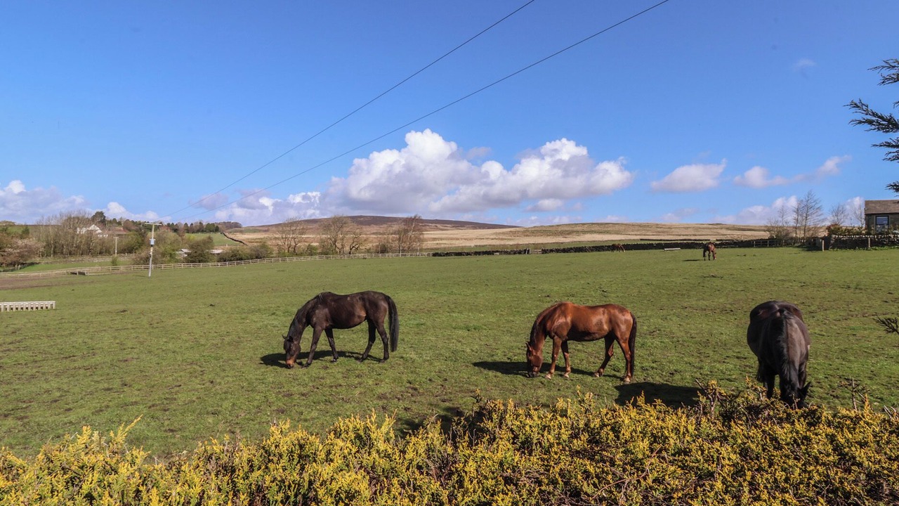 Photo of Others in Ilkley