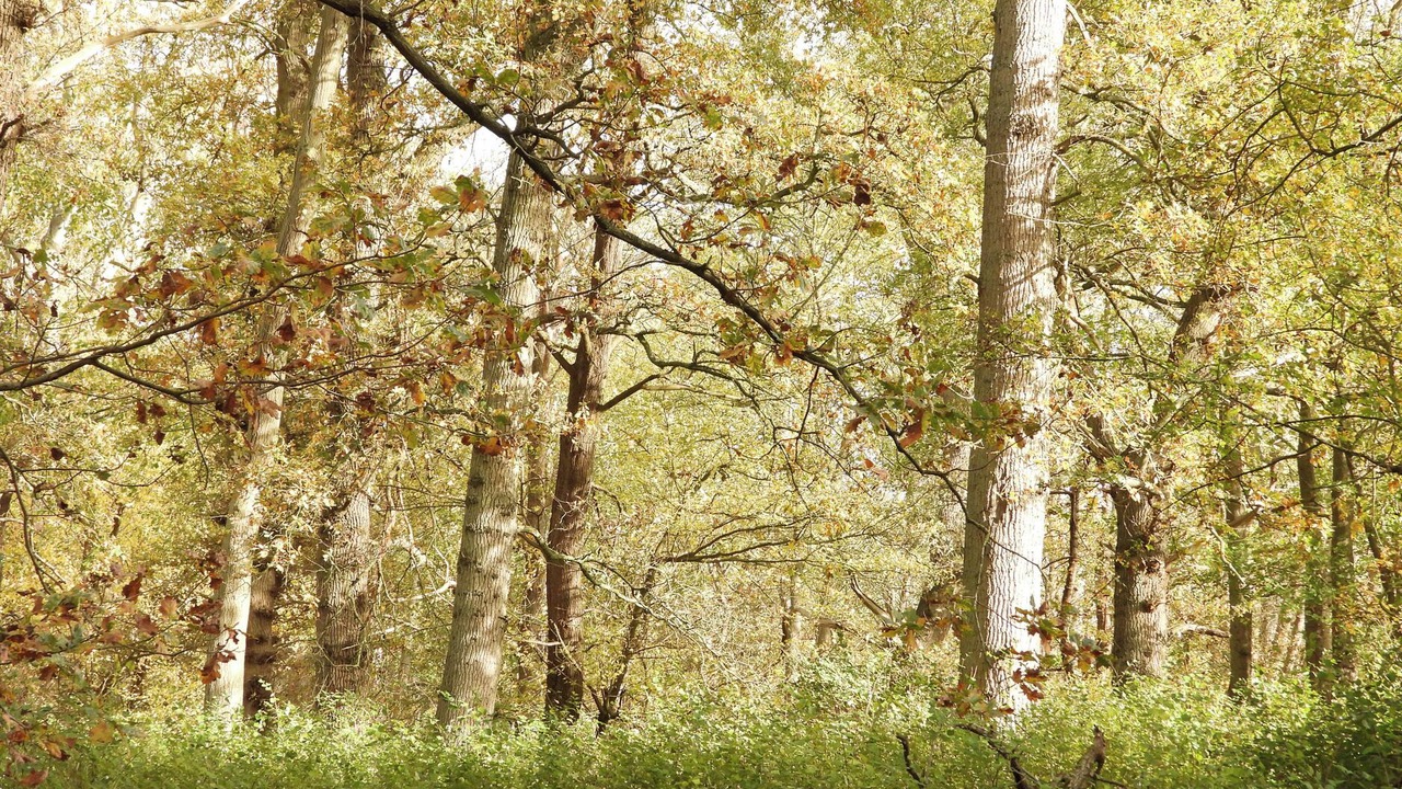 Photo of Others in Polebrook
