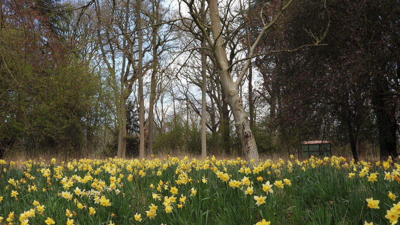 Photo of Others in Polebrook