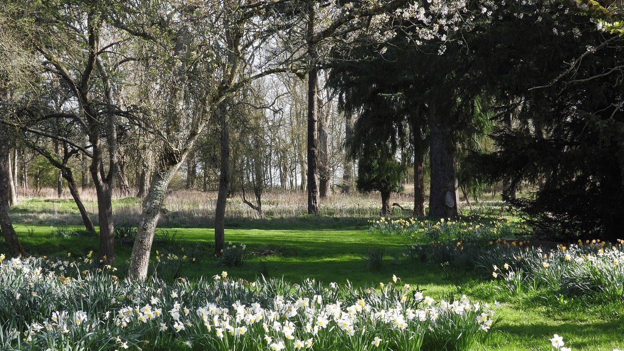 Photo of Outdoor in Polebrook