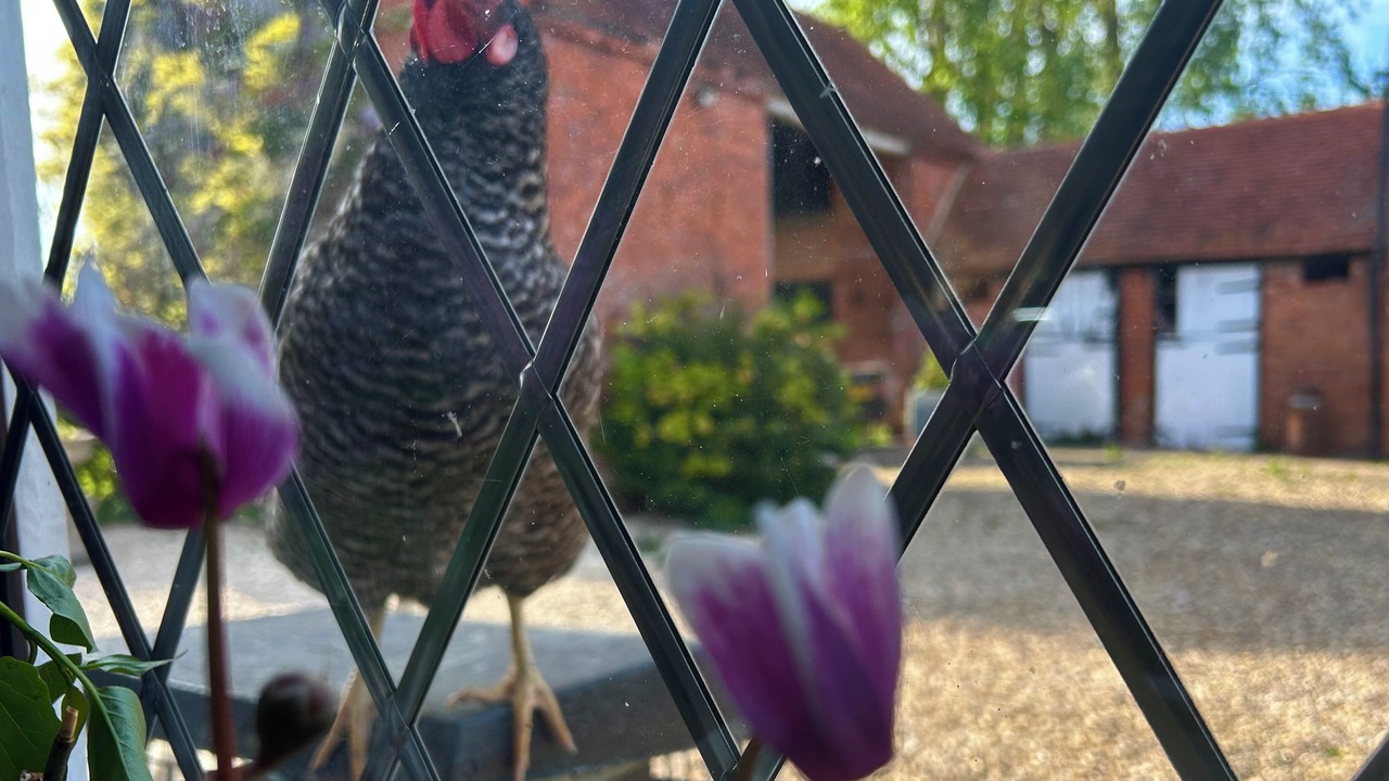 Photo of Others in Lapworth