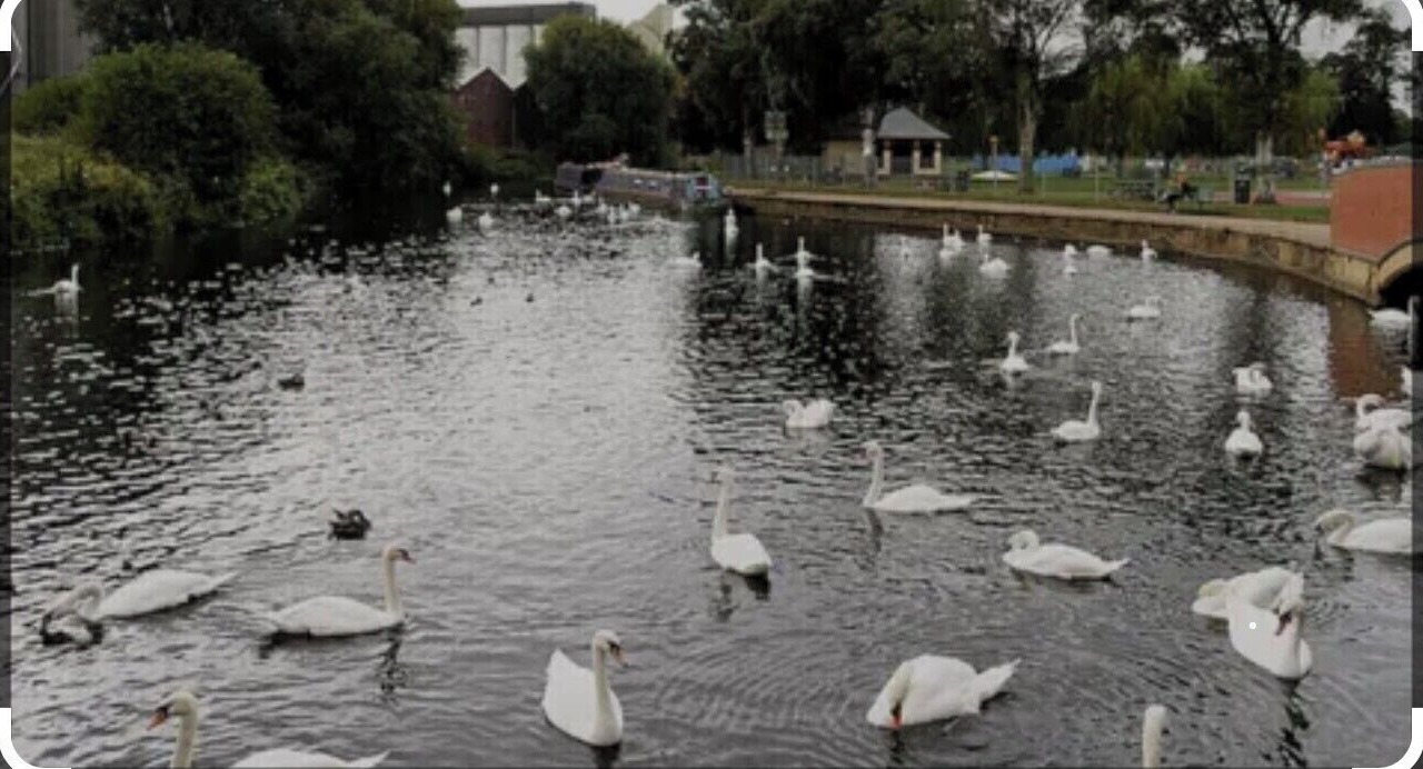 Photo of Others in Wellingborough