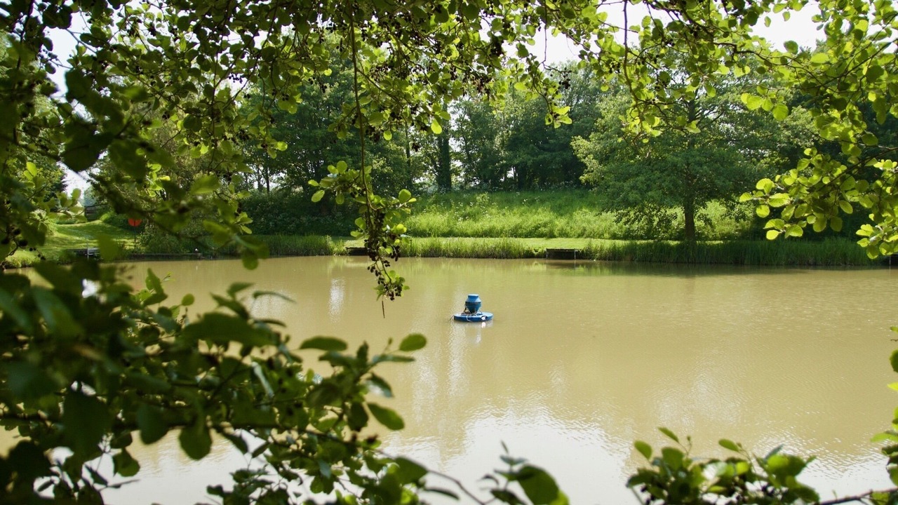 Photo of Outdoor in Burgh le Marsh