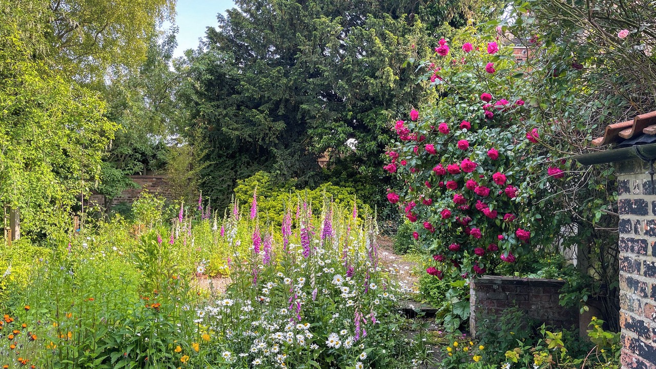 Photo of Outdoor in Louth