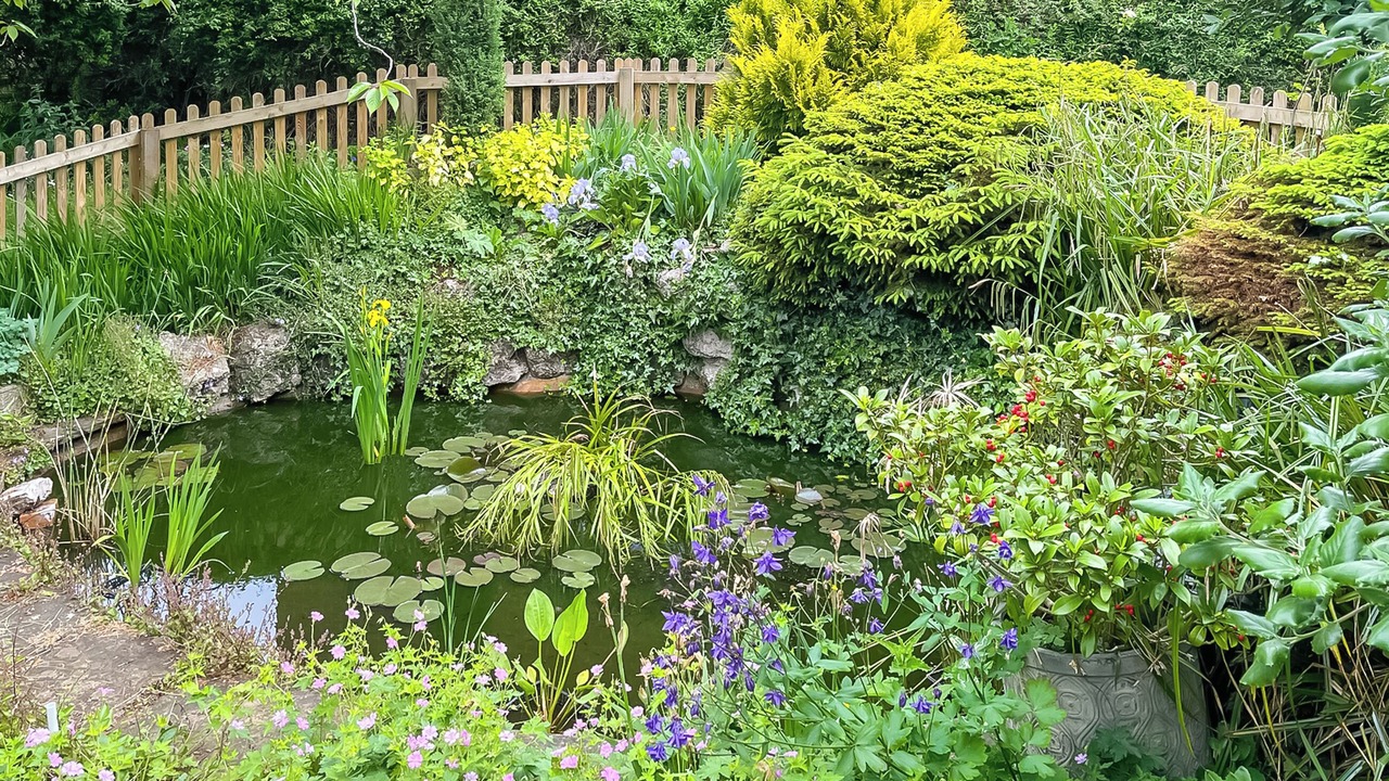 Photo of Outdoor in Louth