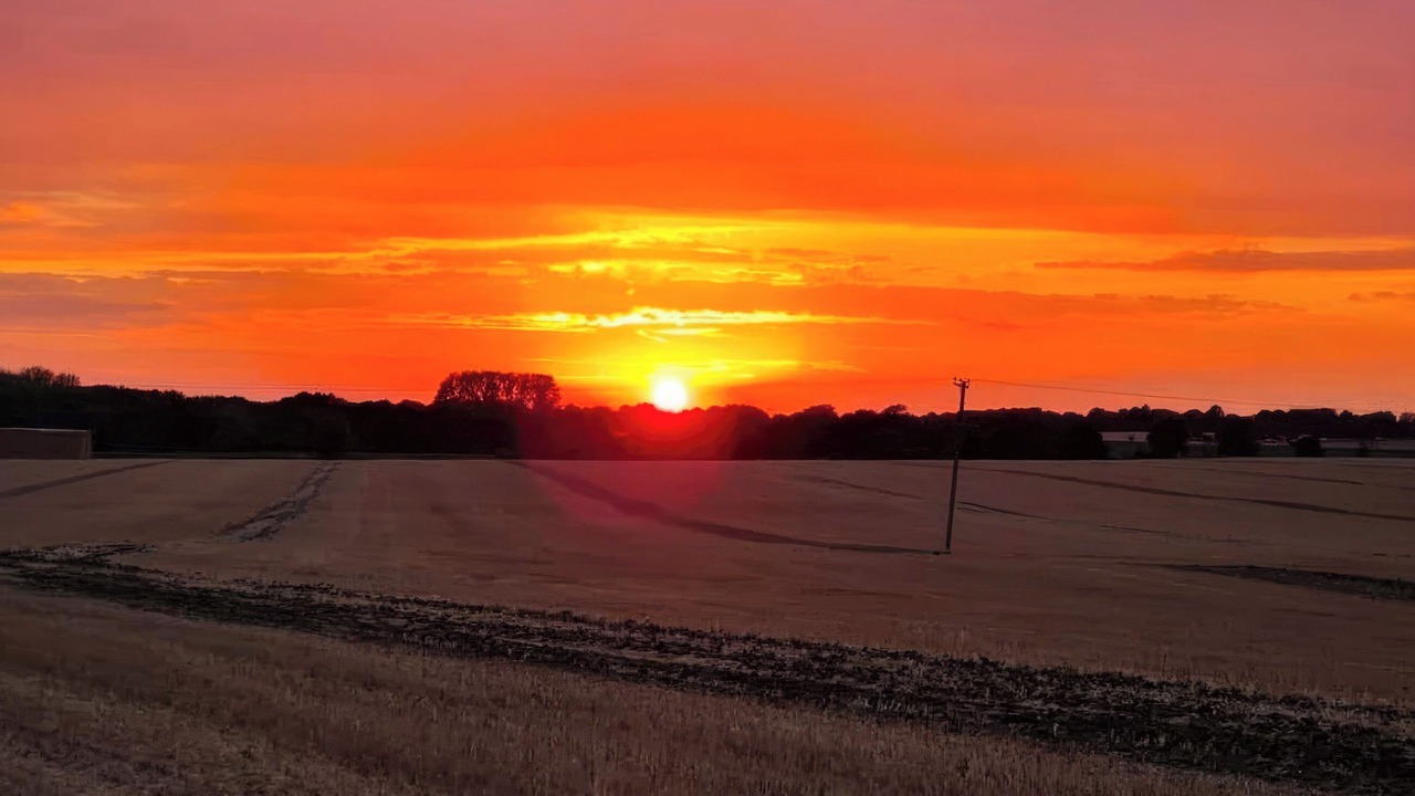Photo of Others in Fincham