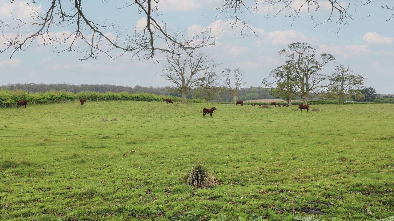 Photo of Others in Cuckney