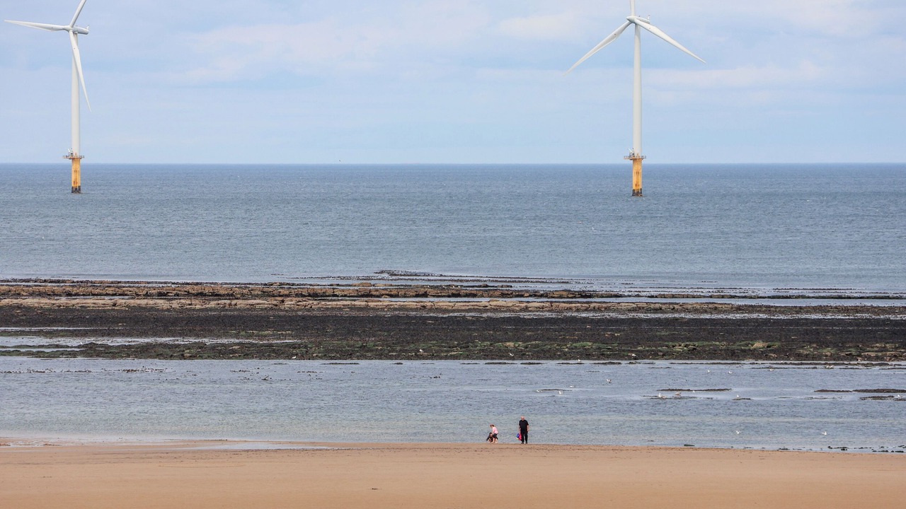 Photo of Others in Redcar