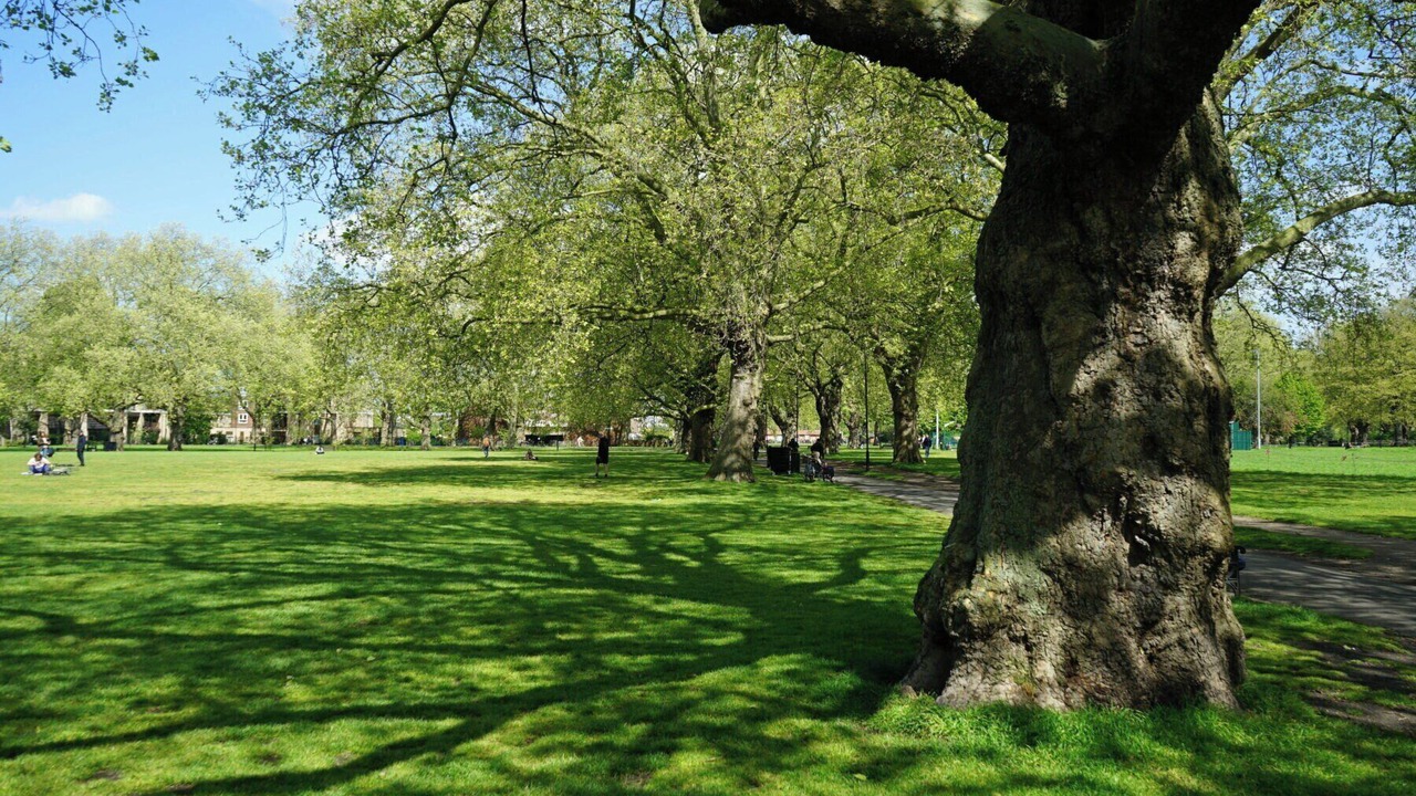 Photo of Others in Haggerston