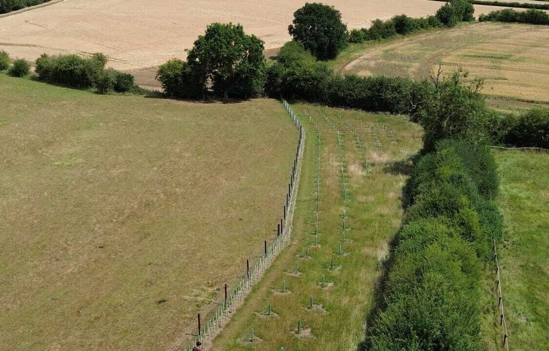 Photo of Others in Belton-in-Rutland
