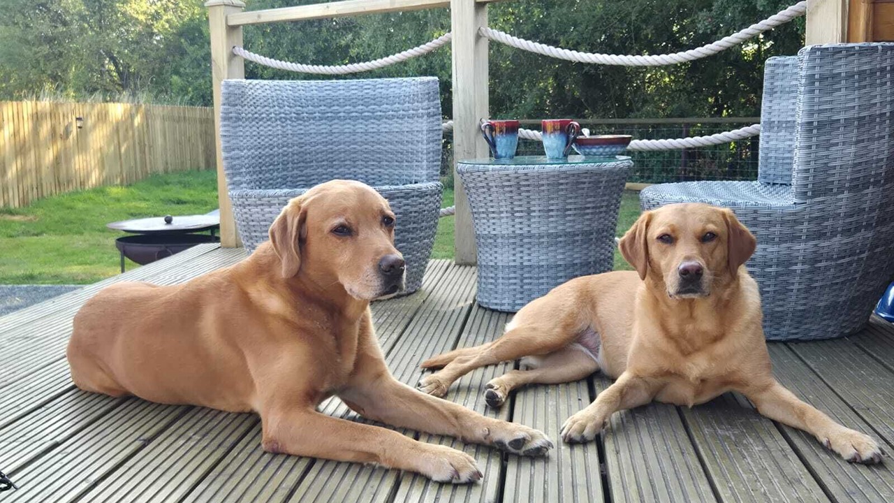 Photo of Patio Balcony in Belton-in-Rutland