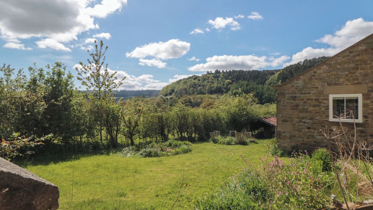 Photo of Outdoor in Broxa