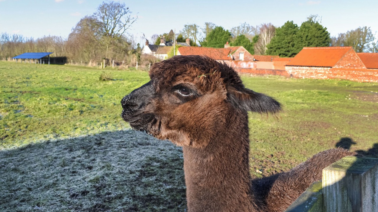 Photo of Others in Kilnwick